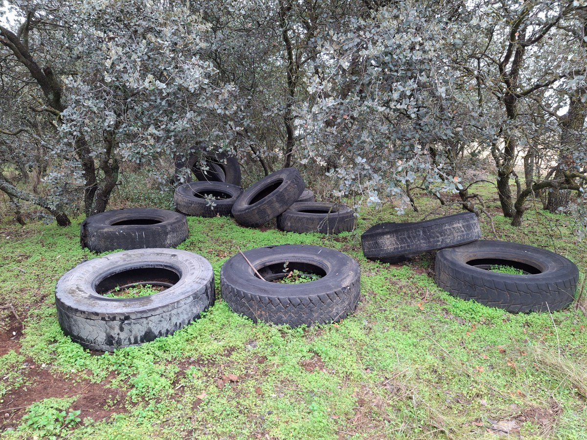 ¡QUÉ DURO SER&nbsp;MADURO!