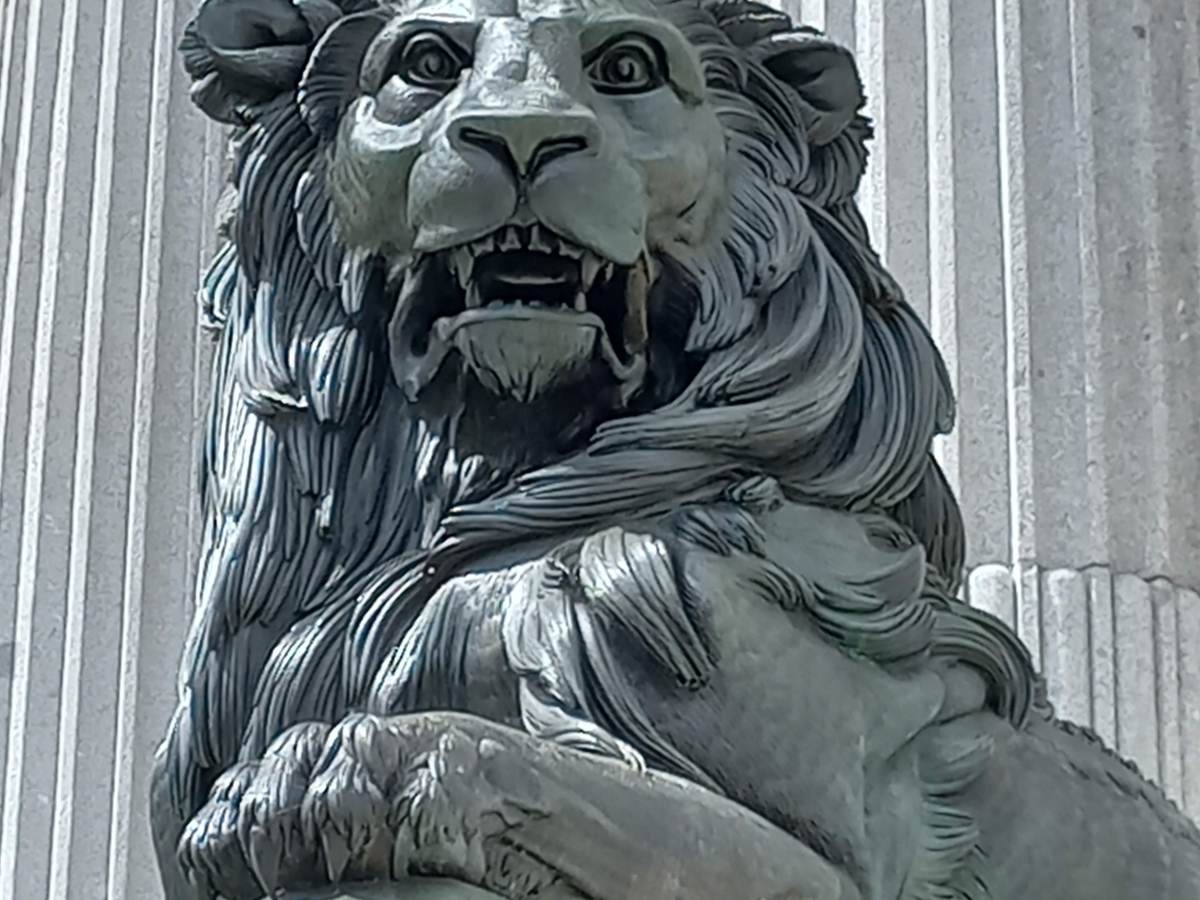  LEÓN XIV en el&nbsp;CONGRESO.